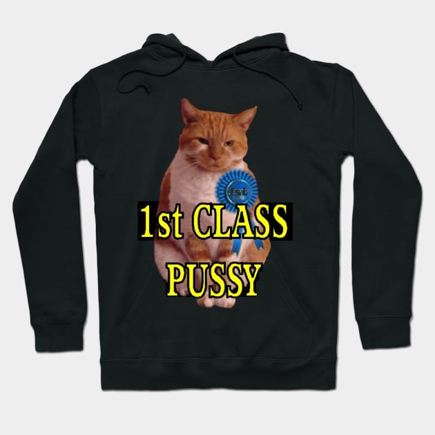 1st class pussy Hoodie by Stiffmiddlefinger